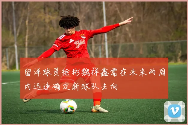 留洋球员徐彬魏祥鑫需在未来两周内迅速确定新球队去向